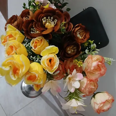 アパート Benfica リスボン